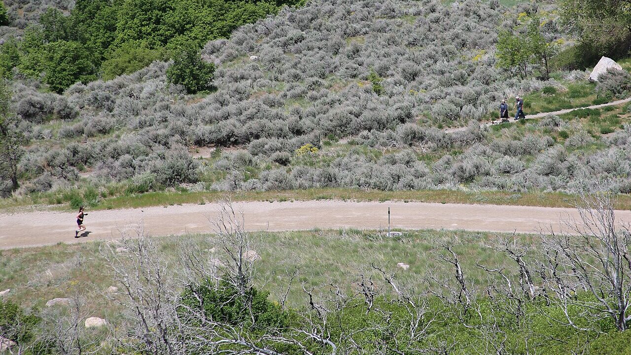 A trail runner on a dirt path through mountain terrain