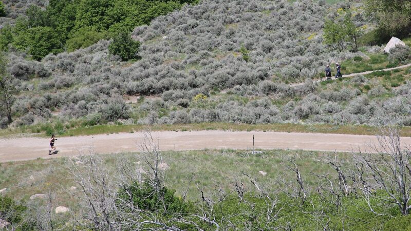 A trail runner on a dirt path through mountain terrain